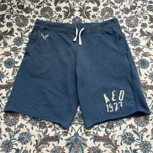 American eagle 2000’s y2k baggy blue surf sweat shorts